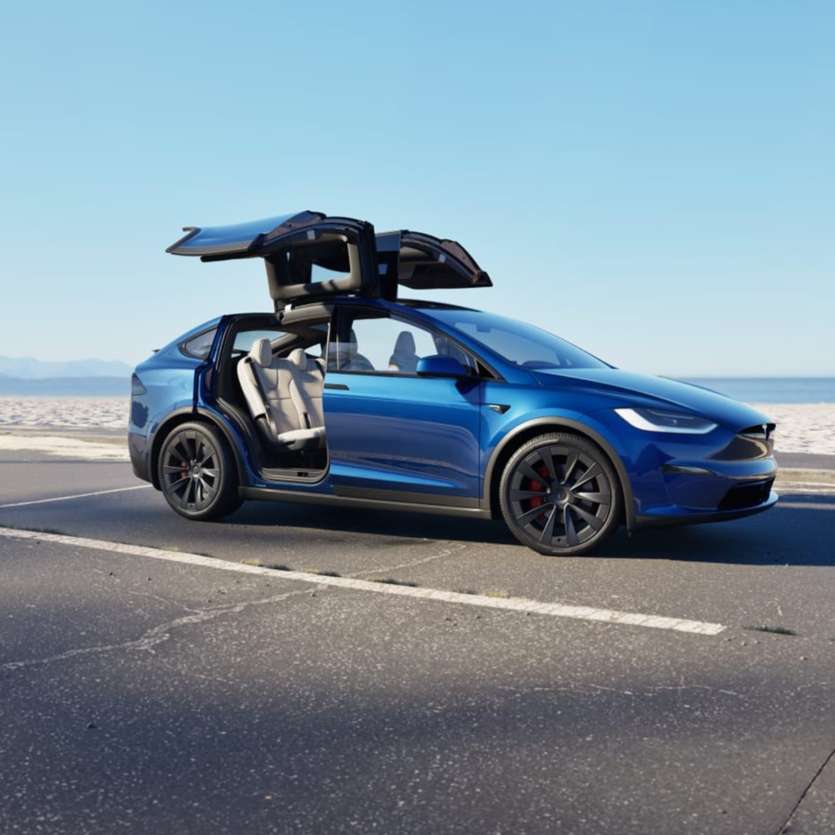 Model X
